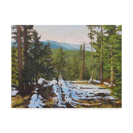 Rusty Frentner 'Tetons' Canvas Art,14x19